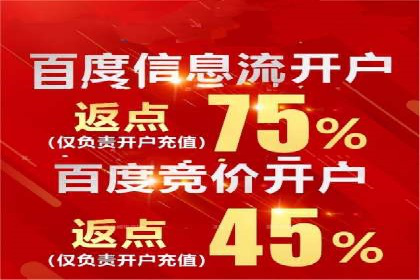 案例解析：sem竞价策略在电商平台的成功应用
